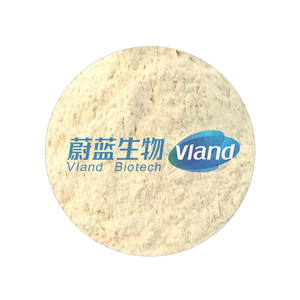 VLAND Food Grade Aminopeptidase Enzyme