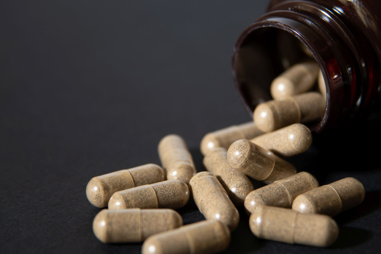 GMP certified supplement manufacturing facility stock formulations